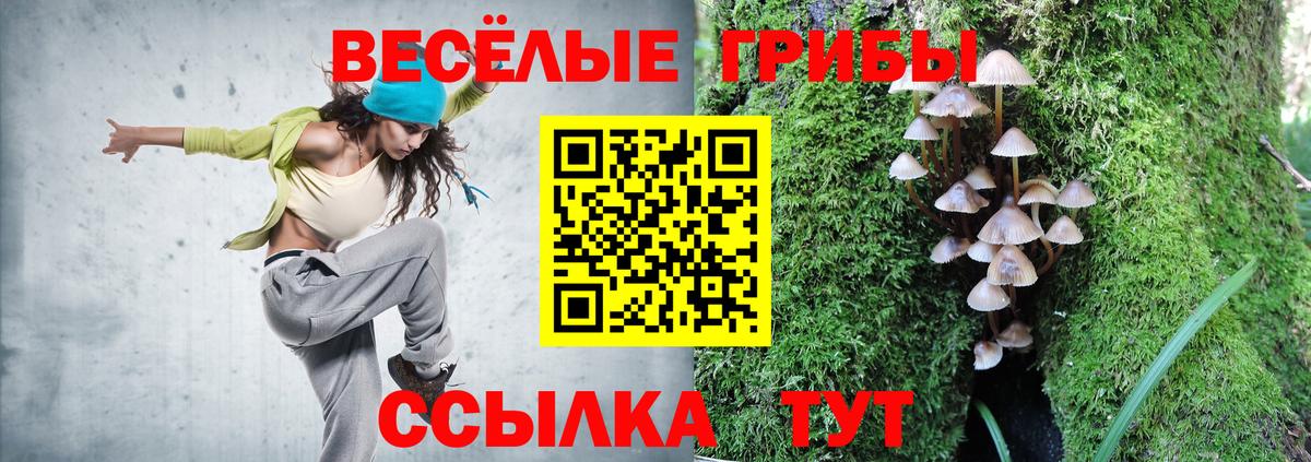 Псилоцибиновые грибы Psilocybe  Псилоцибиновые грибы Psilocybine cubensis  Полысаево  Вход с VPN 