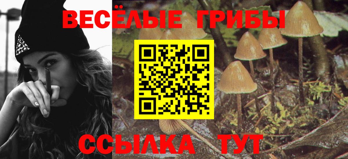 Галлюциногенные грибы Magic Shrooms Полысаево
